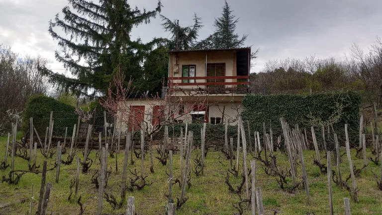 Predám chatu s vinicou