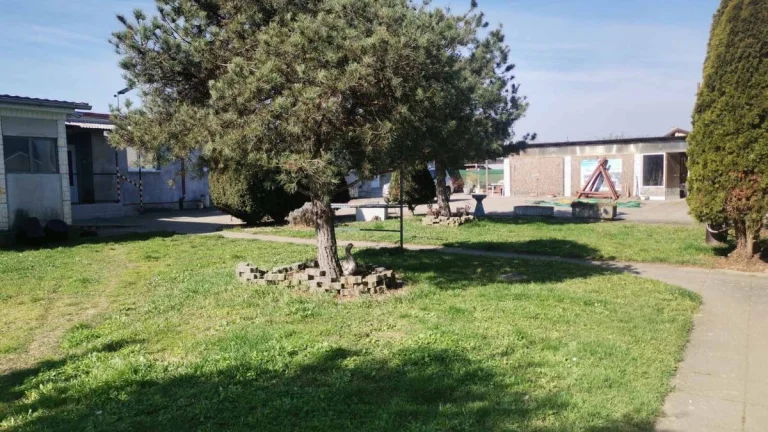 Dom s pozemkom a záhradou
