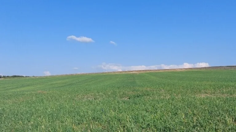Skalica predaj širokého pozemku ZLAVA