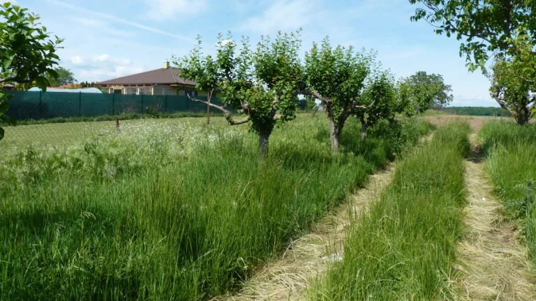 Predaj, stavebný pozemok, Šaľa, Močenok