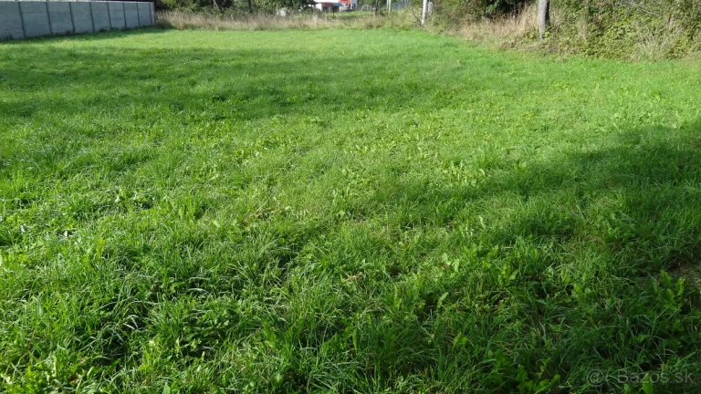Predaj, Stavebný pozemok, Svinia, okres Prešov