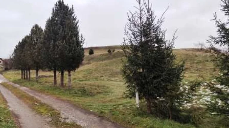 Výborné pozemky na novostavby