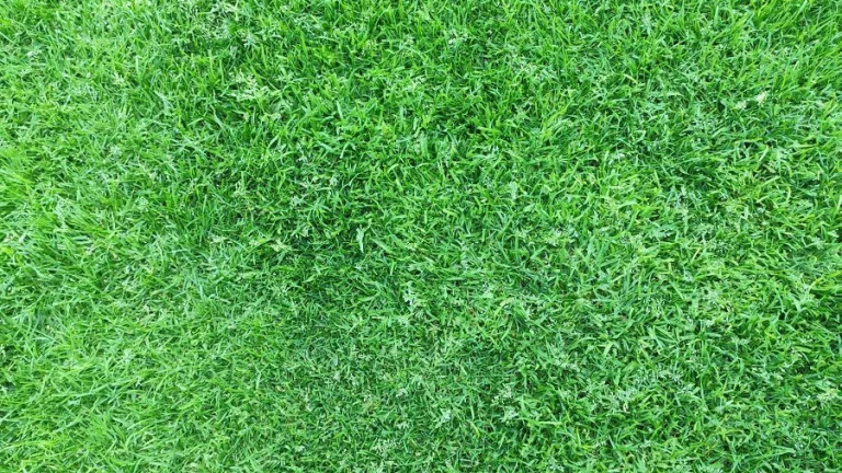 Predám stavebný pozemok 1000 m2, obec Bučany