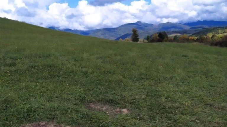 Na predaj pozemok v obci Dolná Lehota