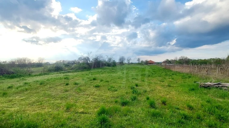Priestranný 1500 m2 rovinatý pozemok na okraji vinárskej d