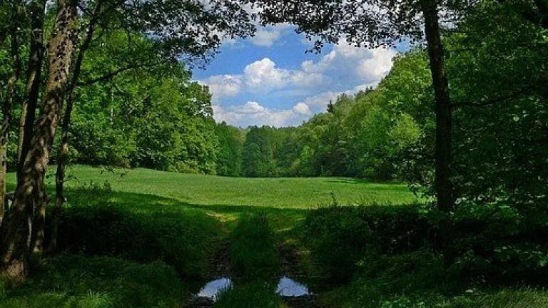 Malý nestavebny pozemok