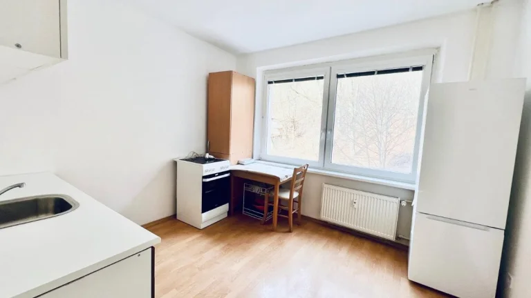 Veľký 1 izb.byt ako investícia alebo na bývanie.