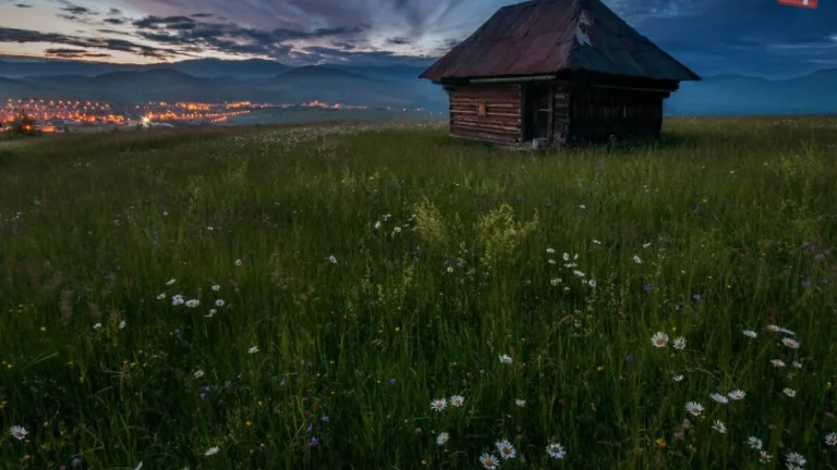 Kanadský zrub za výbornú cenu
