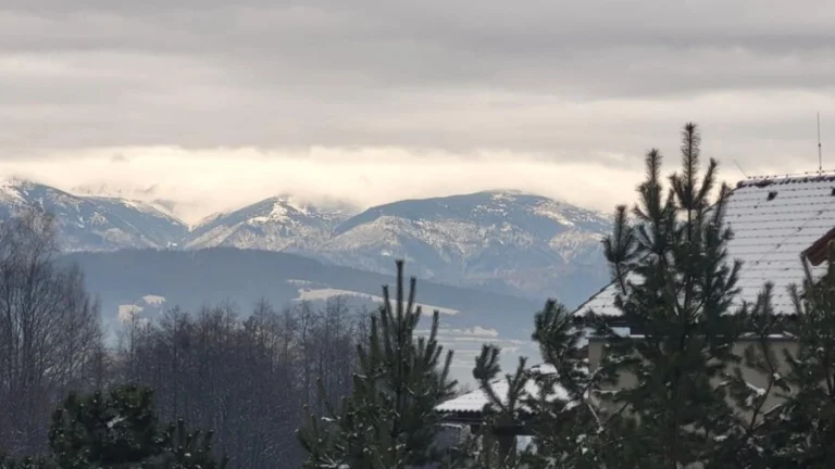 Pozemok v tesnej blízkosti intravilánu Obce Čierny Balog
