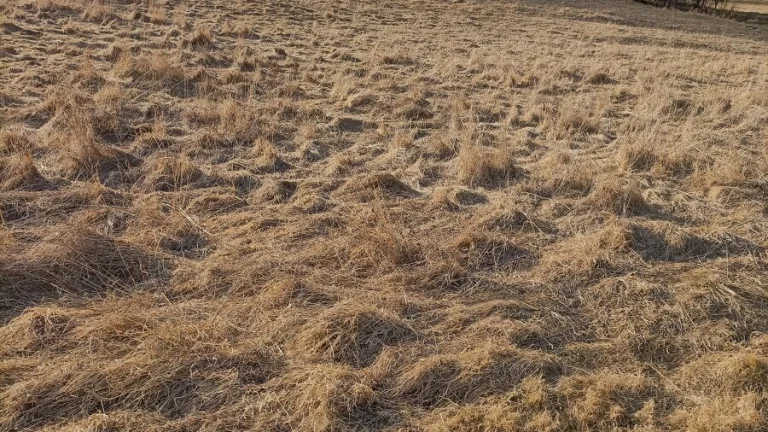 Predám pozemok - Kalameny, Lúčky a okolie