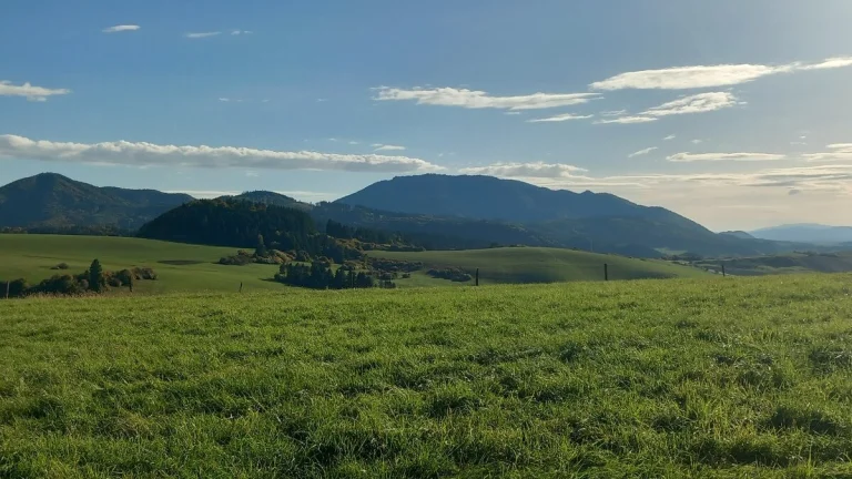 Pozemok Záborie 1100m2 - 16.500 EUR + dohoda