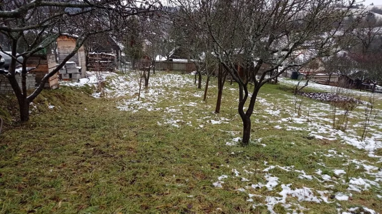 Pozemok vhodný na výstavbu chaty alebo menšieho domčeku