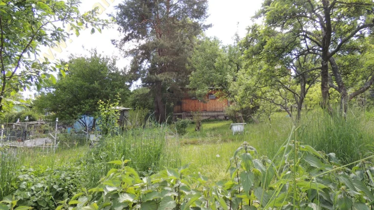 Záhrada s chatkou Banská Bystrica, lokalita nad Tulskou