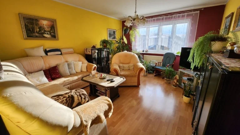 Velky 3 izb.byt, 94 m2+ garáž, Bolešov.