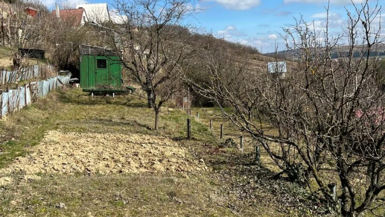 Záhrada s ovocnými stromami v Holíči
