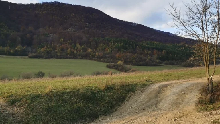 Rekreačný pozemok v Košeckom Podhradí, 727 m2