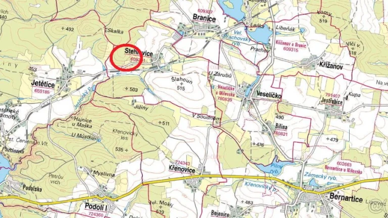 Prodej lesa Stehlovice u obory