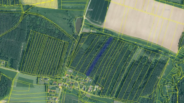 Prodej lesa Českobudějovicko