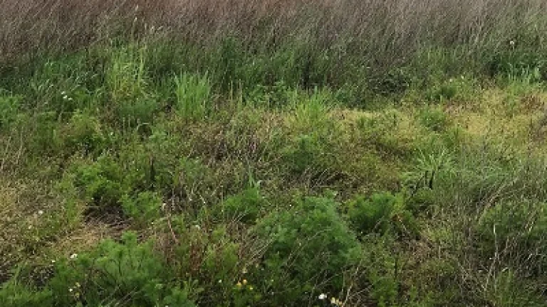 Działka pod zabudowę o pow. 1500m2, Chocz