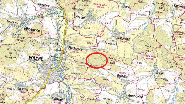 Prodej lesa u Volyně - 79 let