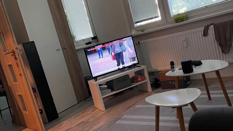1 izb. byt na prenajom