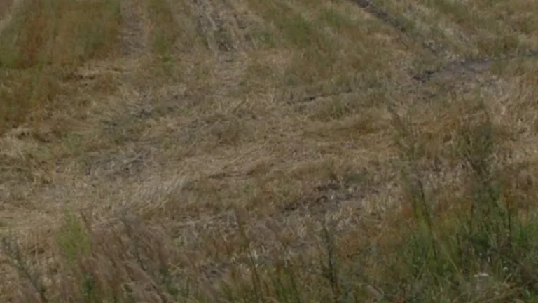 Działka budowlana o powierzchni 1026m2 Stobno