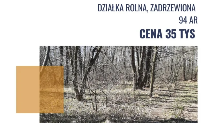 Dąbrówka działka rolna 94 ar