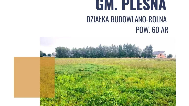 Działka Budowlano-Rolna 60ar, Rychwałd