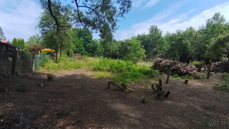 Pronájem zahrádka | Zahrada 663 m2, Orlová Město