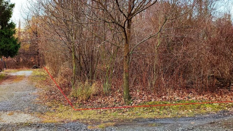 Pronájem zahrádka | Zahrada 582 m2, Orlová Město