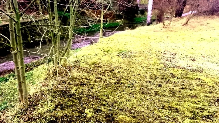 Pozemek stavební ok Děčín