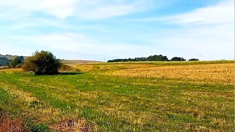 Pozemok v Skalke nad Váhom