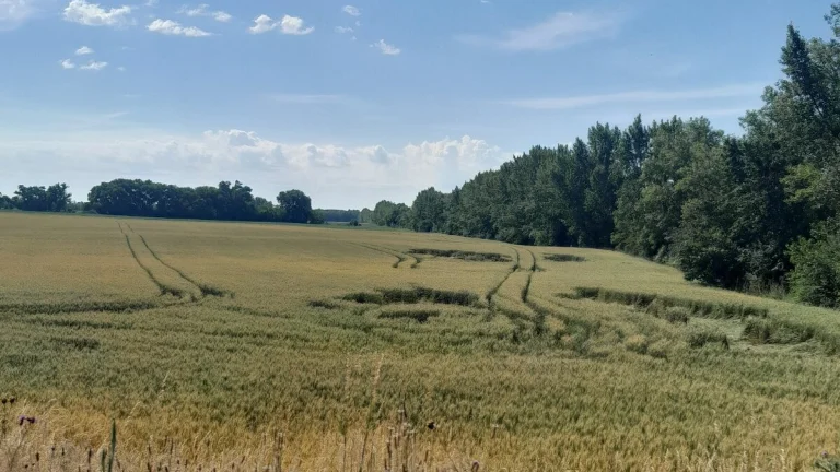 Predaj pozemok 3509m2 na priemysel v obci Oľdza