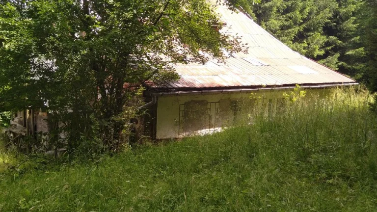 Chalúpka na samote u lesa úžasné okoli