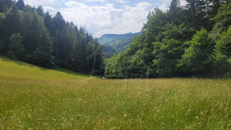 Rekreačný pozemok pri lese s krásnym výhľadom nad obcou Zá