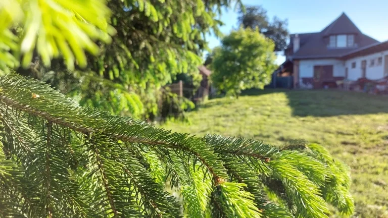 Priestranný dom blízko Dunaja s možnosťou podnikania v ces