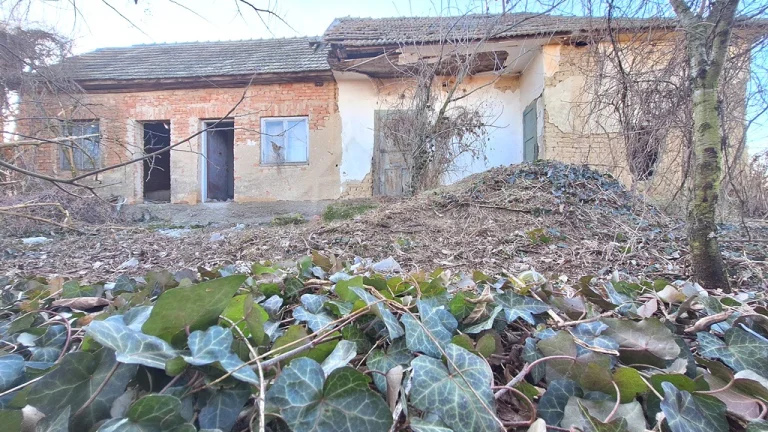 Pôvodná chalúpka v kľudnej časti podunajskej vinárskej ded