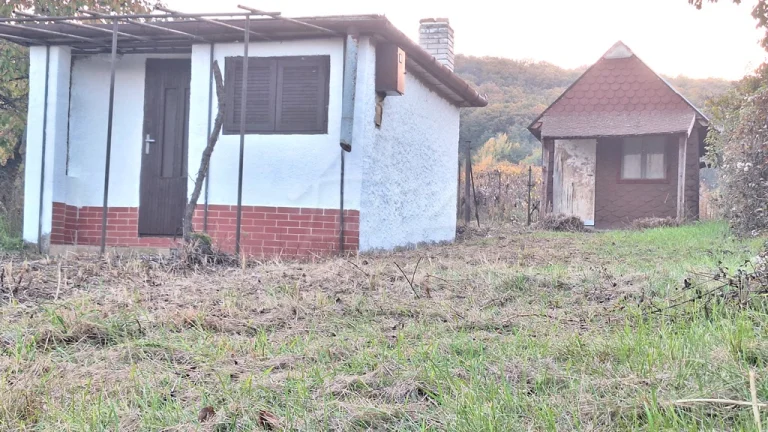 Dve chatky na rozľahlom pozemku pri lese len 6 km od Štúro