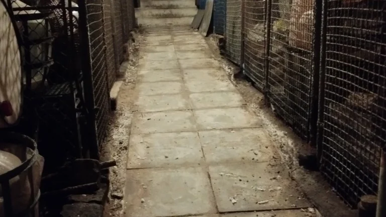 Vinný sklep ve BZENCI na prodej