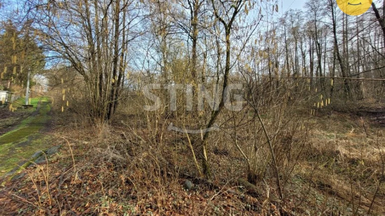Pozemek na prodej, Orlová / Město, 129356