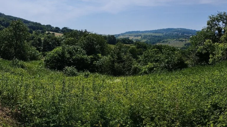 Zahrada Horná Súča - Dúbrava 1600m2