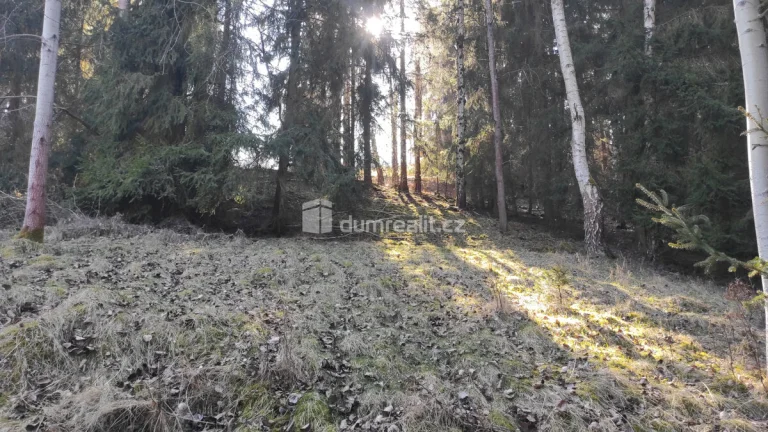Investiční příležitost - pozemek 4431 m2 v Březové u Karlový