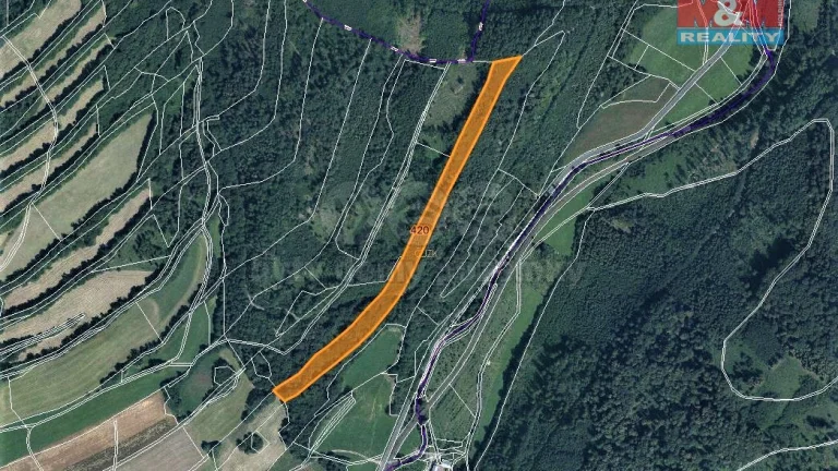 Prodej lesa, 17778 m², Odry-Kloločůvek