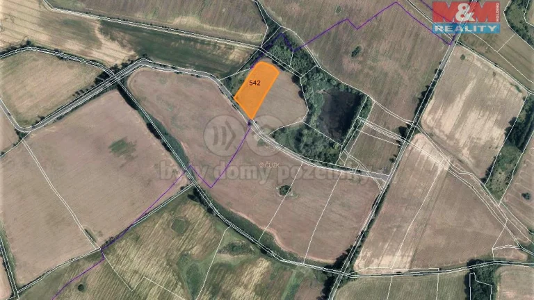 Prodej pole, 8153 m², Mašťov-Dobřenec