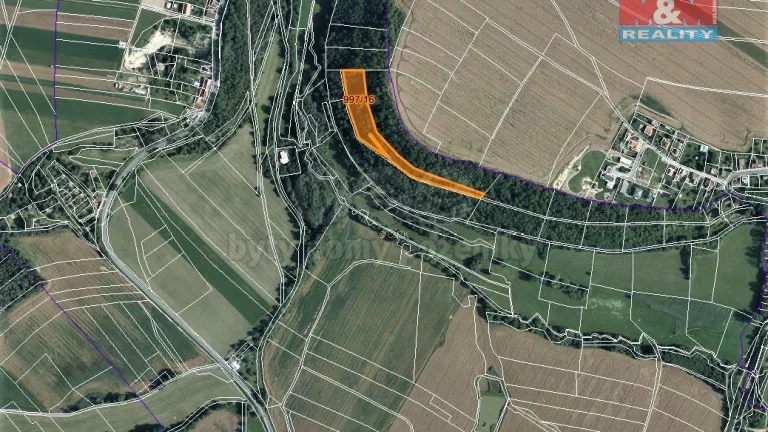 Prodej lesa, 8078 m², Skuteč
