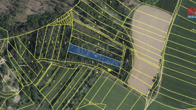 Prodej lesa, 7177 m², Mysletice