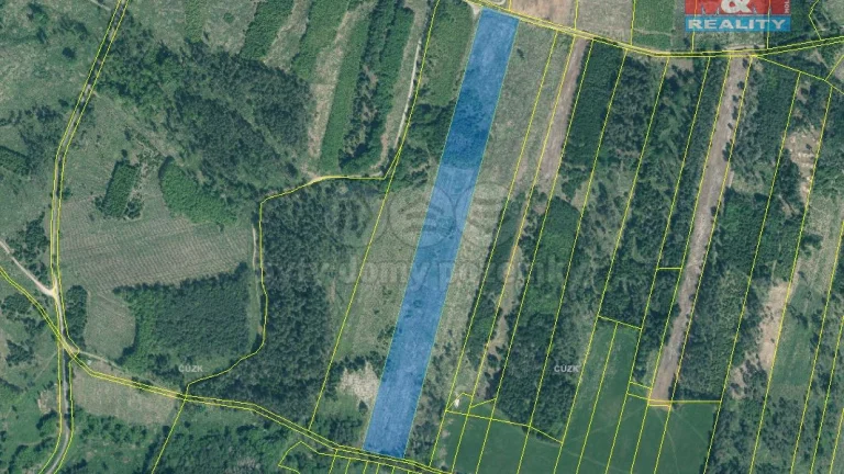 Prodej lesa, 33230 m², Jetětice