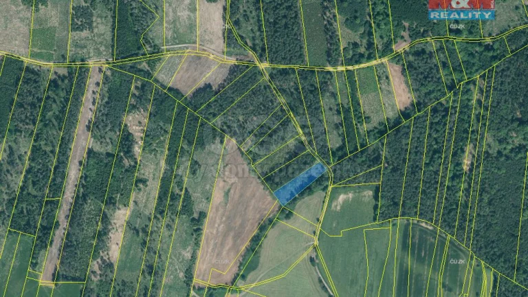 Prodej lesa, 3625 m², Jetětice