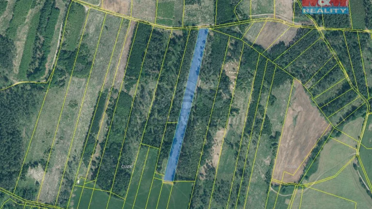 Prodej lesa, 13770 m², Jetětice