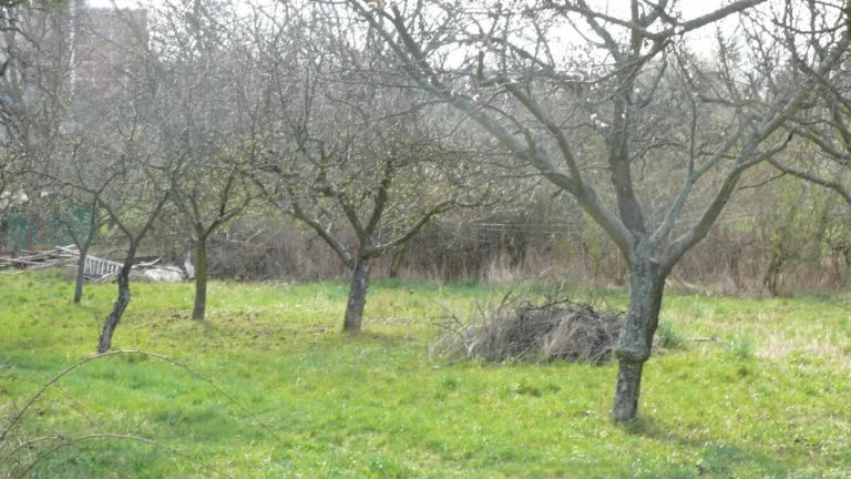 stavebný pozemok